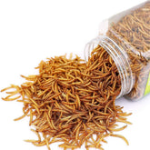 BNYEE vers de farine séchés – emballage pratique pour reptiles.