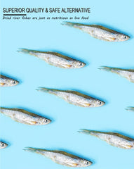 BNYEE Poissons de rivière séchés – couleur vive soutenant l'appétit