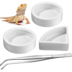 Bol rond Boao en céramique, facile à nettoyer et durable pour reptiles.
