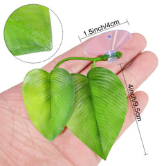 Boao hamac-feuille betta repos près de la surface