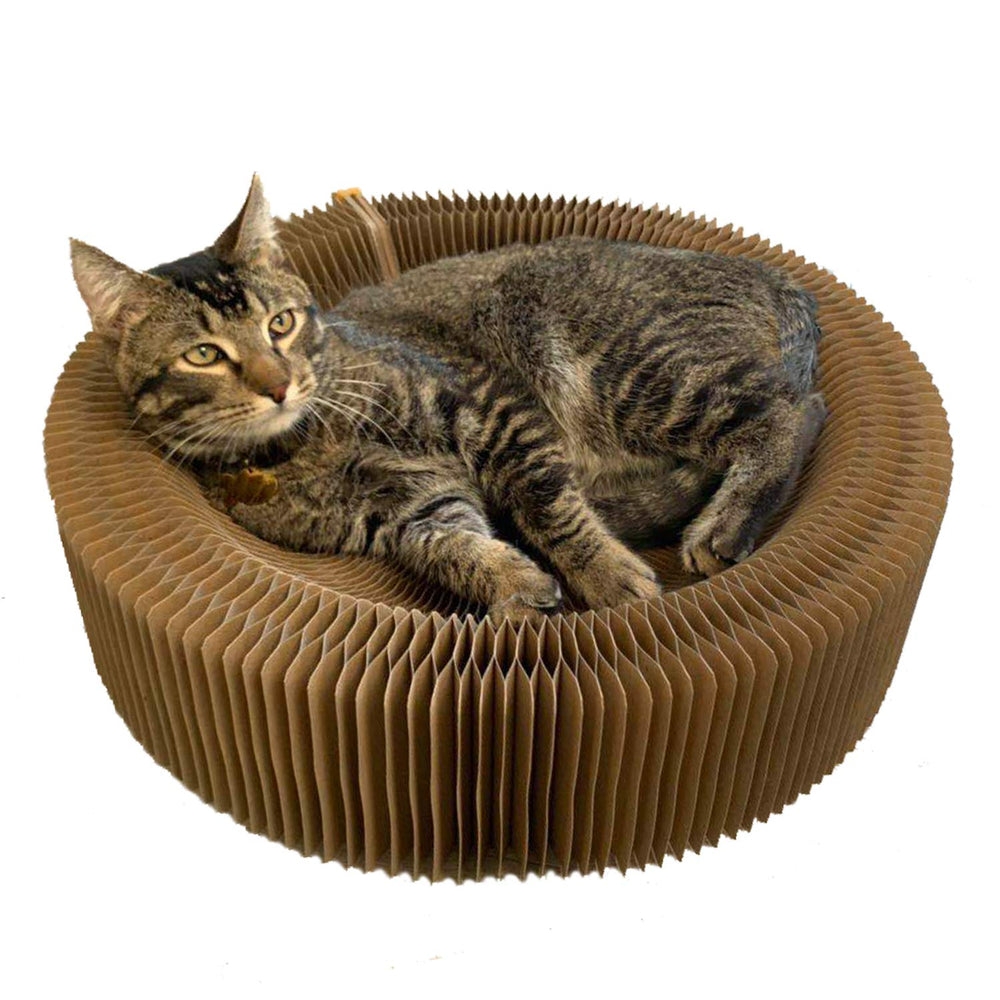 BobbyPet Chat Scratcher Lounge – Nid rond pliable, idéal pour les voyages.