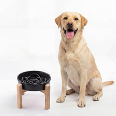 Bol ralentisseur en céramique pour chien moyen à grand noir, design stable et pratique.