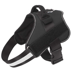 Bolux harnais anti-tirage avec réflectifs pour petites promenades nocturnes.