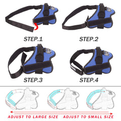 Harnais Bolux ajustable et confortable pour chien de grande taille.