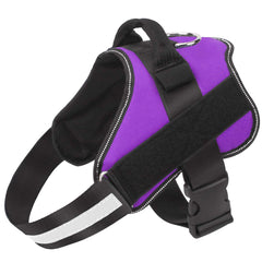 Bolux harnais petit chien réflectif pour promenades nocturnes visibles