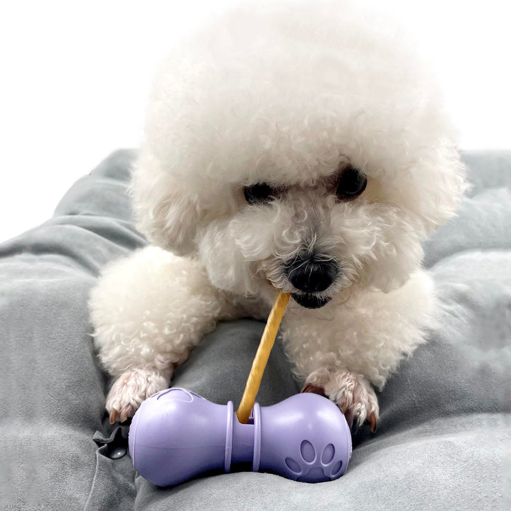 Porte-bâton BoniVet violet — ensemble complet pour chiens, facile à utiliser.