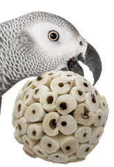Bonka balles sola-attas de 2 pouces, faciles à saisir par les oiseaux.