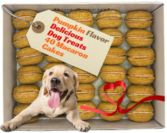 Bonne et Filou macaron pumpkin pour chien, boîte 40 pièces, récompense idéale