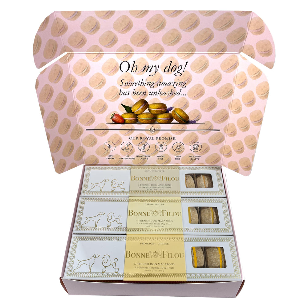 Bonne et Filou macarons chien en boîte 18, plaisir gourmand sans réfrigération.