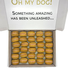 Gros plan sur macarons pumpkin pour chien, saveur naturelle Bonne et Filou
