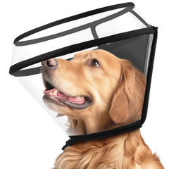 Collier-cone BONTHEE transparent pour chien, vision claire et protection contre le léchage.