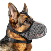Muselière BONTHEE pour chien, maille douce visible, respiration facilitée lors des promenades.