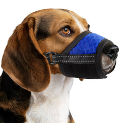 Muselière BONTHEE pour chien, demi-couverture respirable pour ventilation optimale lors des sorties.