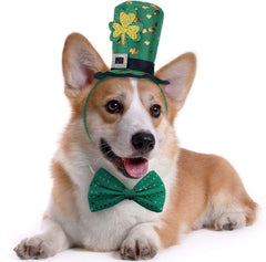 BoomBone serre-tête Saint-Patrick pour chien, idéal pour séances festives.