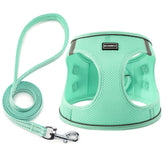 Harnais BOOMIBOO pour chien vert avec laisse, confort et sécurité.