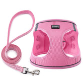 BOOMIBOO harnais chien rose – ensemble confortable et facile à mettre