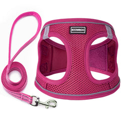 BOOMIBOO harnais rose pour chien – ensemble pratique pour promenades confortables.