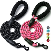 Laisse BOOMIBOO nylon durable 4ft pour petites races et balades quotidiennes.