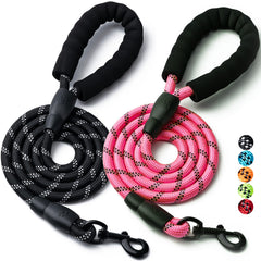 Laisse BOOMIBOO nylon durable 4ft pour petites races et balades quotidiennes.
