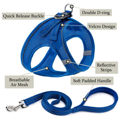 Laisse BOOMIBOO bleue assortie pour un contrôle en promenade.