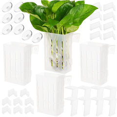 Borlech support-plante-aquarium avec ventouse et crochets pour fixation stable.
