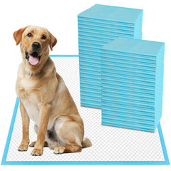 Tampons d'entraînement Boscute XXL pour animaux – grande surface et absorption efficace.