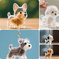 Bouteille transparente poils chien collection: rangement pratique