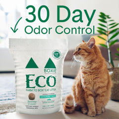 Boxiecat Eco, amas qui se forment rapidement pour un nettoyage facile.