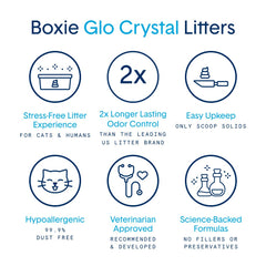 Boxiecat Glo: granules doux qui imitent le sable et offrent du confort.