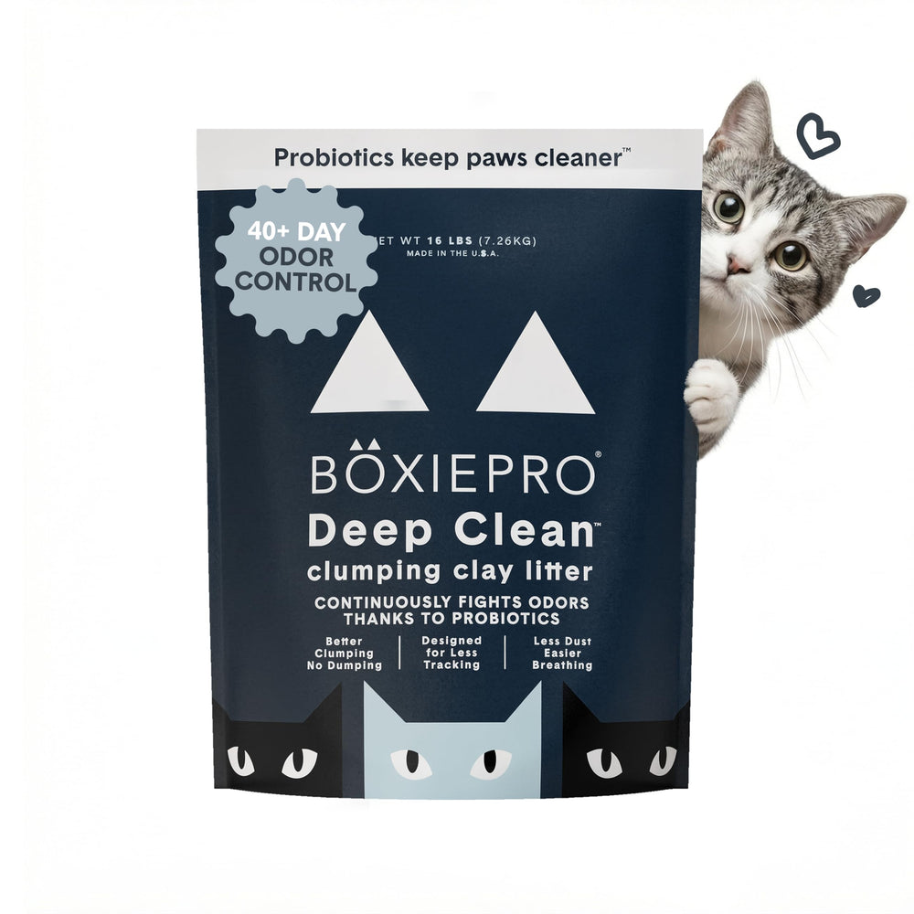 BoxiePro Litière Probiotiques, contrôle d’odeur sur le dessus du bac.