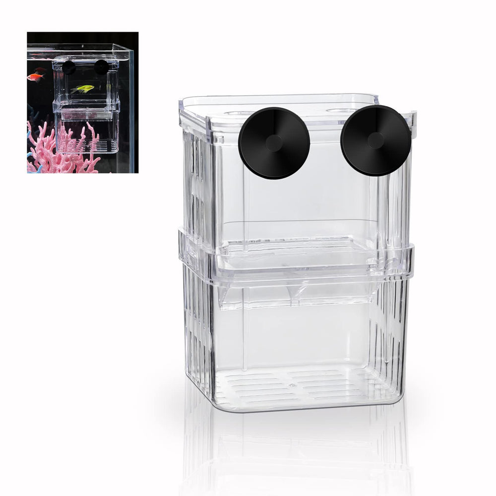 Boxtech boite d'élevage pour aquarium, vue haute, visibilité claire des alevins.