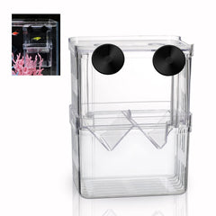 Boxtech boîte-élevage aquarium, vue claire des alevins en sécurité dans l'aquarium.