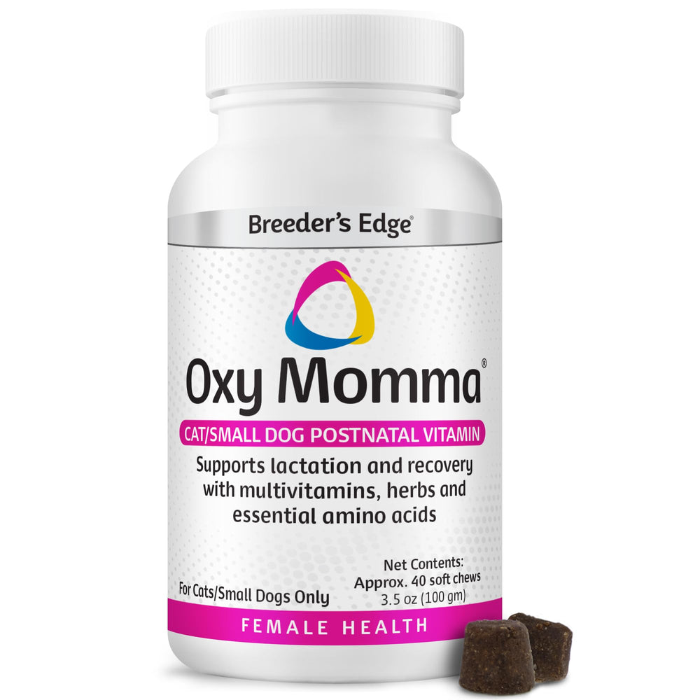 Breeder's Edge Oxy Momma Soft Chews emballage avant, option pratique postnatal pour mamans.