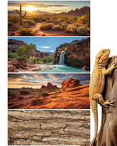 Breling fond-terarium cascade canyon, décor réaliste pour reptiles et observation améliorée.