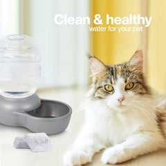 BRENSTEN filtre Mason Gravity pour filtration constante et fluide.