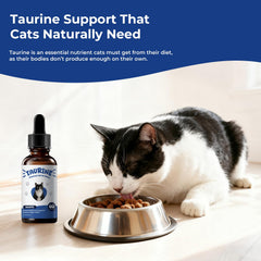 BrightBarki Taurine Gouttes Dose: intégration facile dans la nourriture.
