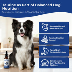BrightBarki taurine muscles chien: peut soutenir la fonction musculaire lors d'activités quotidiennes.