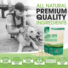 Brightway Pets K9 collagene peptide articulations, image montrant un chien en mouvement.