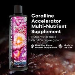 Brightwell Aquatics Coralline Accelerator étiquette du flacon montrant les éléments essentiels pour les invertébrés des récifs.