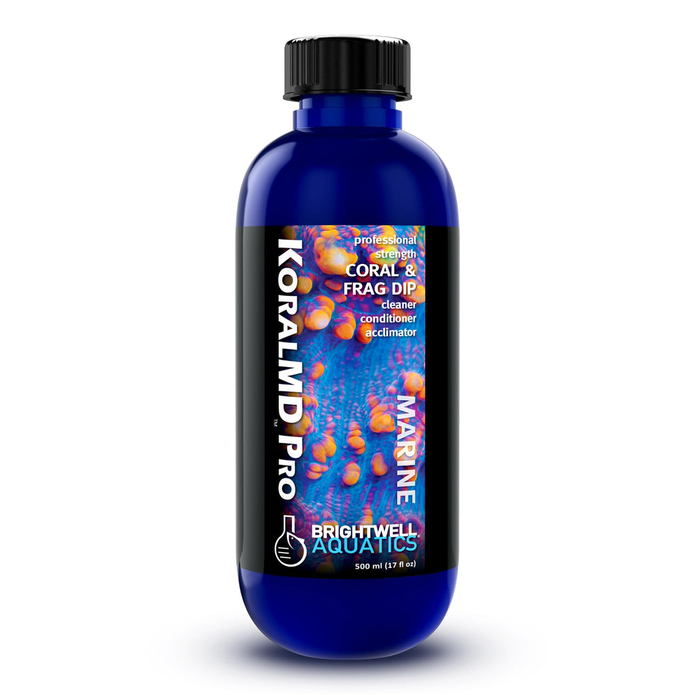 Brightwell Aquatics Koral MD Pro – bouteille dip pour le nettoyage prophylactique des coraux.