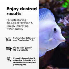 Brightwell Aquatics MicroBacter7, nitrification et denitrification optimisées dans l'aquarium