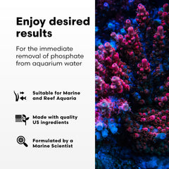 Application dans le bac reef: réduction proactive des phosphates et clarté améliorée