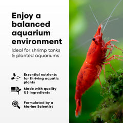 Brightwell Aquatics Shrimp FlorinMulti – feuillage verdoyant; feuilles saines et couleur naturelle.