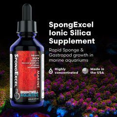 Brightwell Aquatics SpongExcel — doseur-gouttes: dosage précis pour une eau stable.