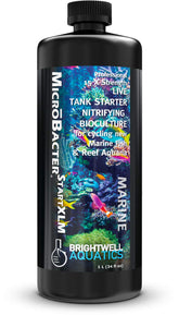 Brightwell MicroBacter Start XLM, bouteille concentrée favorisant le cycle biologique.