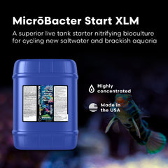 Brightwell MicroBacter Start XLM - étiquette détaillée facilitant le dosage et le démarrage