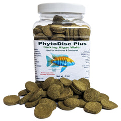 Brine Shrimp Direct PhytoDisc Plus – galettes coulantes, alimentation adaptée pour poissons de fond.