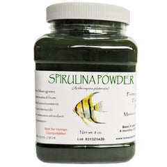 Brine Shrimp Direct Spiruline Poudre dans la bouteille, source de protéines et de pigments pour poissons.