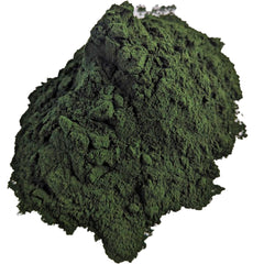 Brine Shrimp Direct Spiruline Poudre; texture fine, idéale pour dispersion dans l'aquarium.