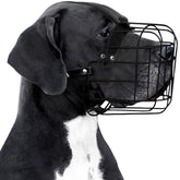 Bronzedog masque-chien PVC-armature-fil, sécurité renforcée lors des promenades.